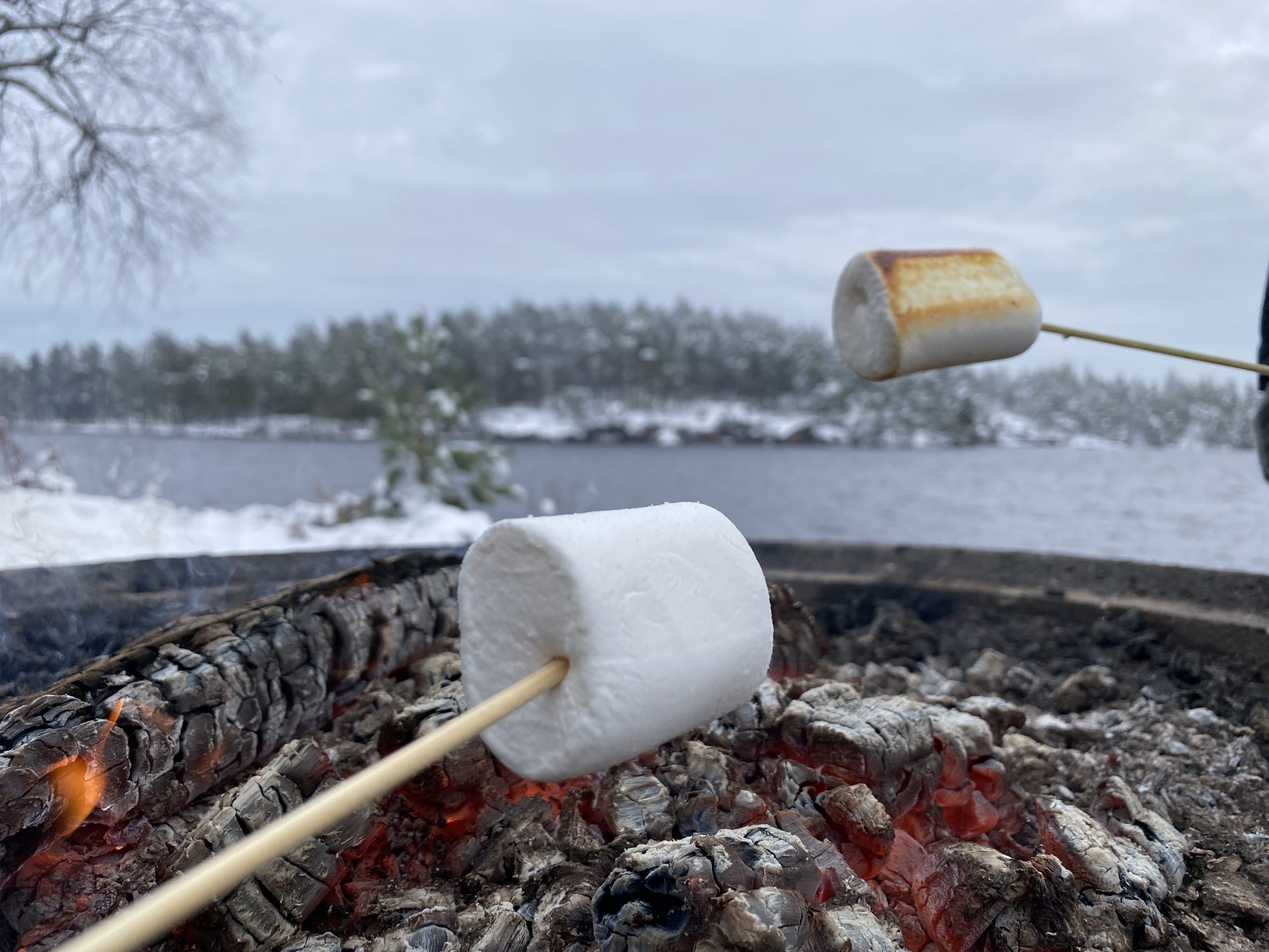 Grillade marshmallows ute vid ett vintrigt Hammarsjön