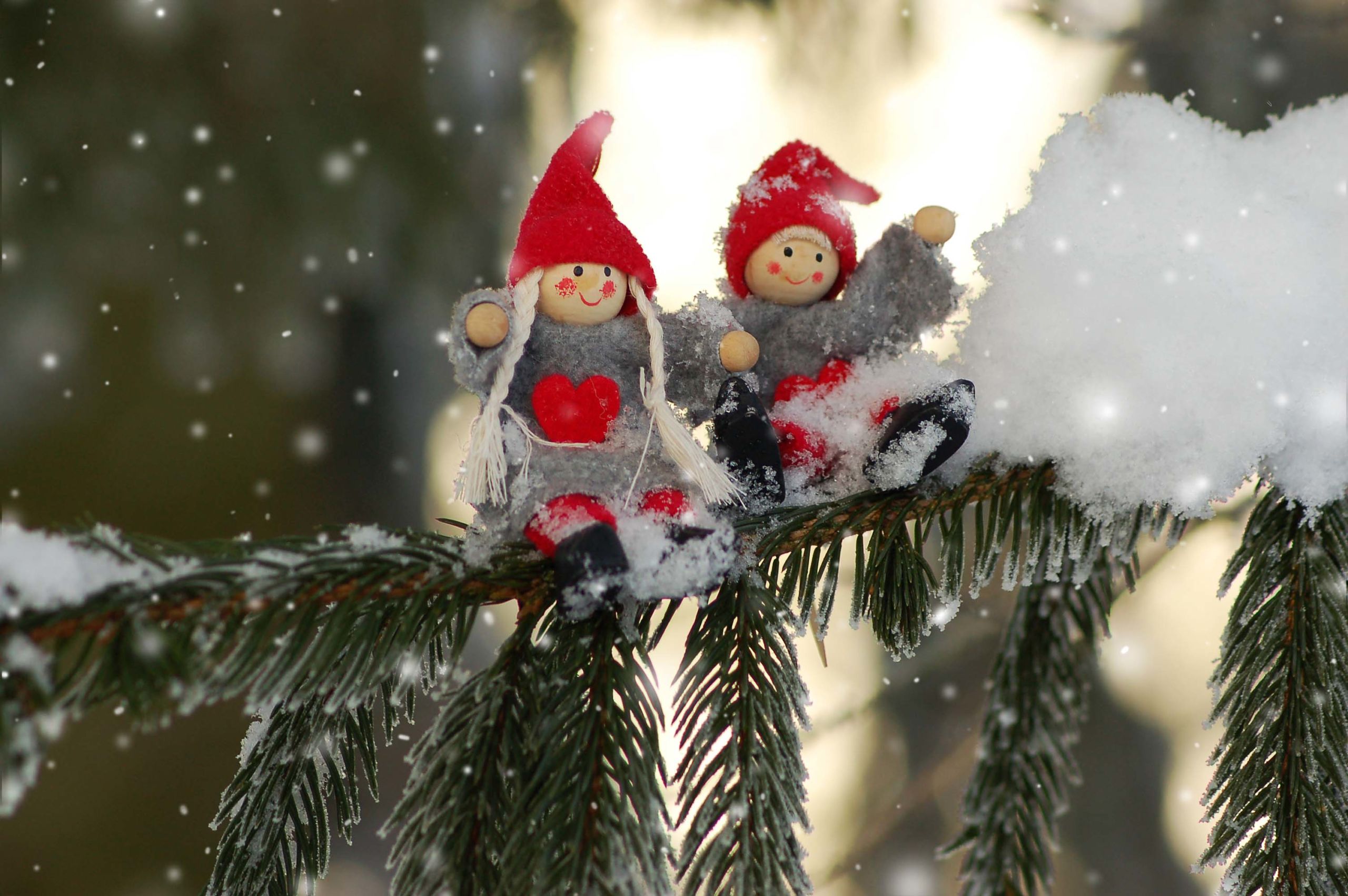 Two elves sitting on a snowy tree branch